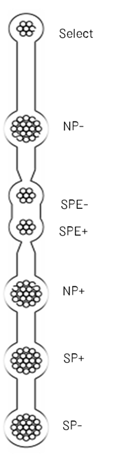 EtherNet9
