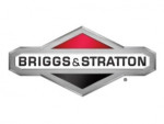 logo briggs startton