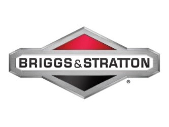 Briggs & Stratton
